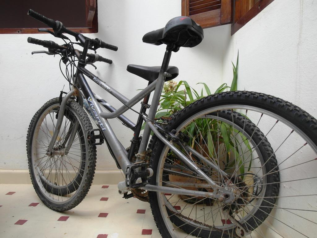 Christina'S House Bed & Breakfast Asilah Ngoại thất bức ảnh